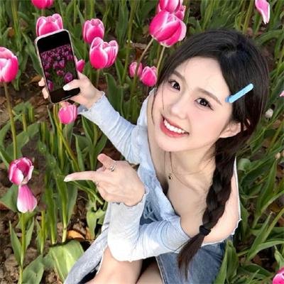 至高指令